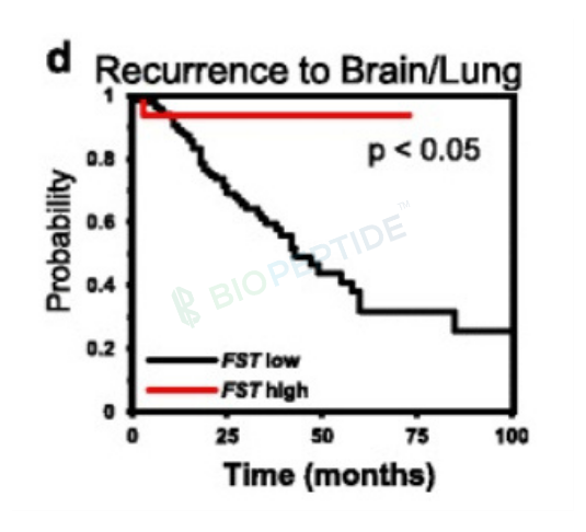 Follistatin-344 1mg image 4